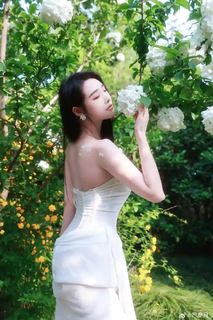 白色相簿2游戏截图