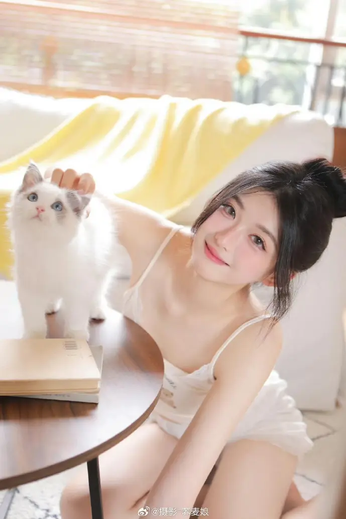 小视频下载数据分析